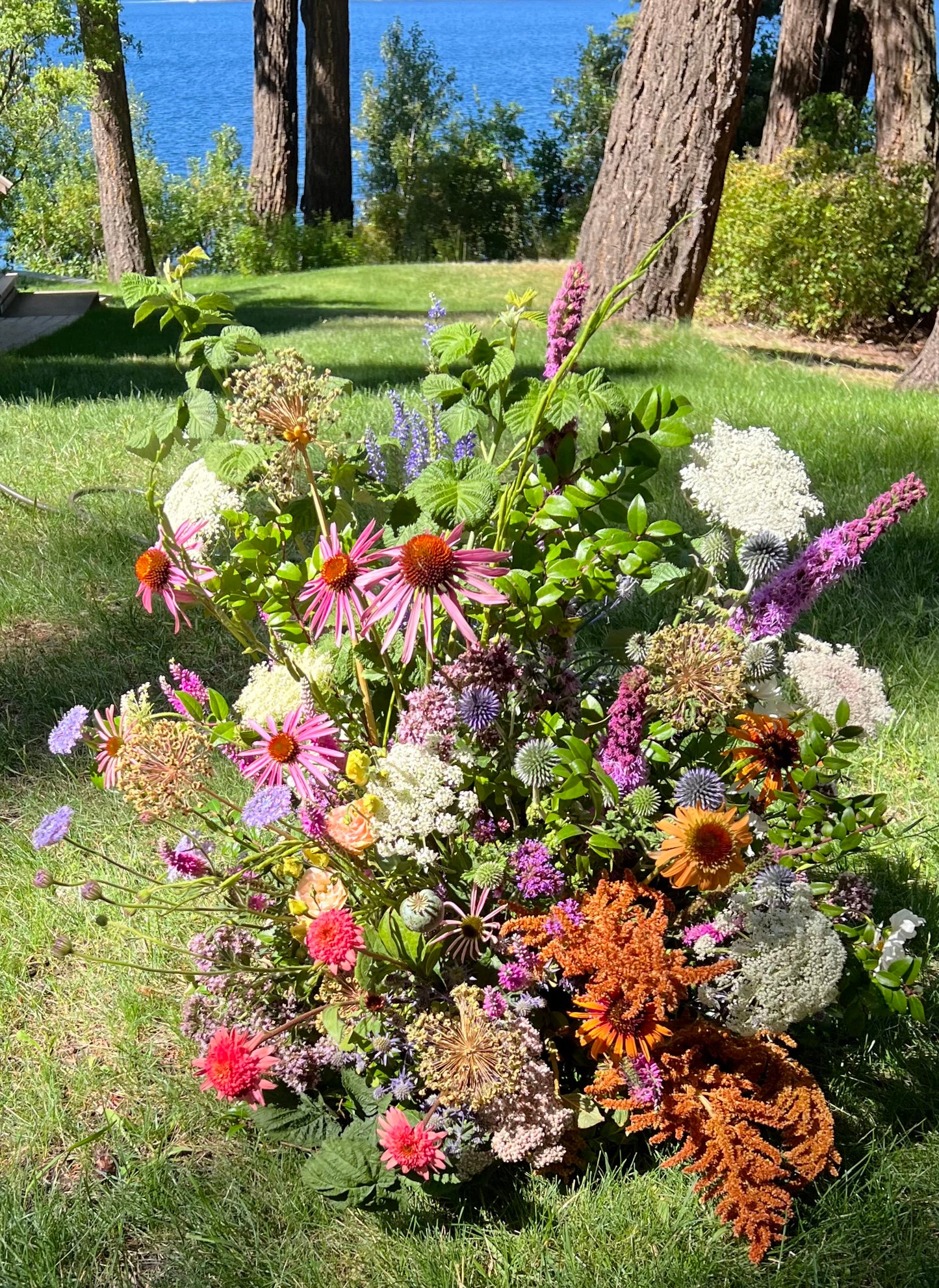 Ground Meadow